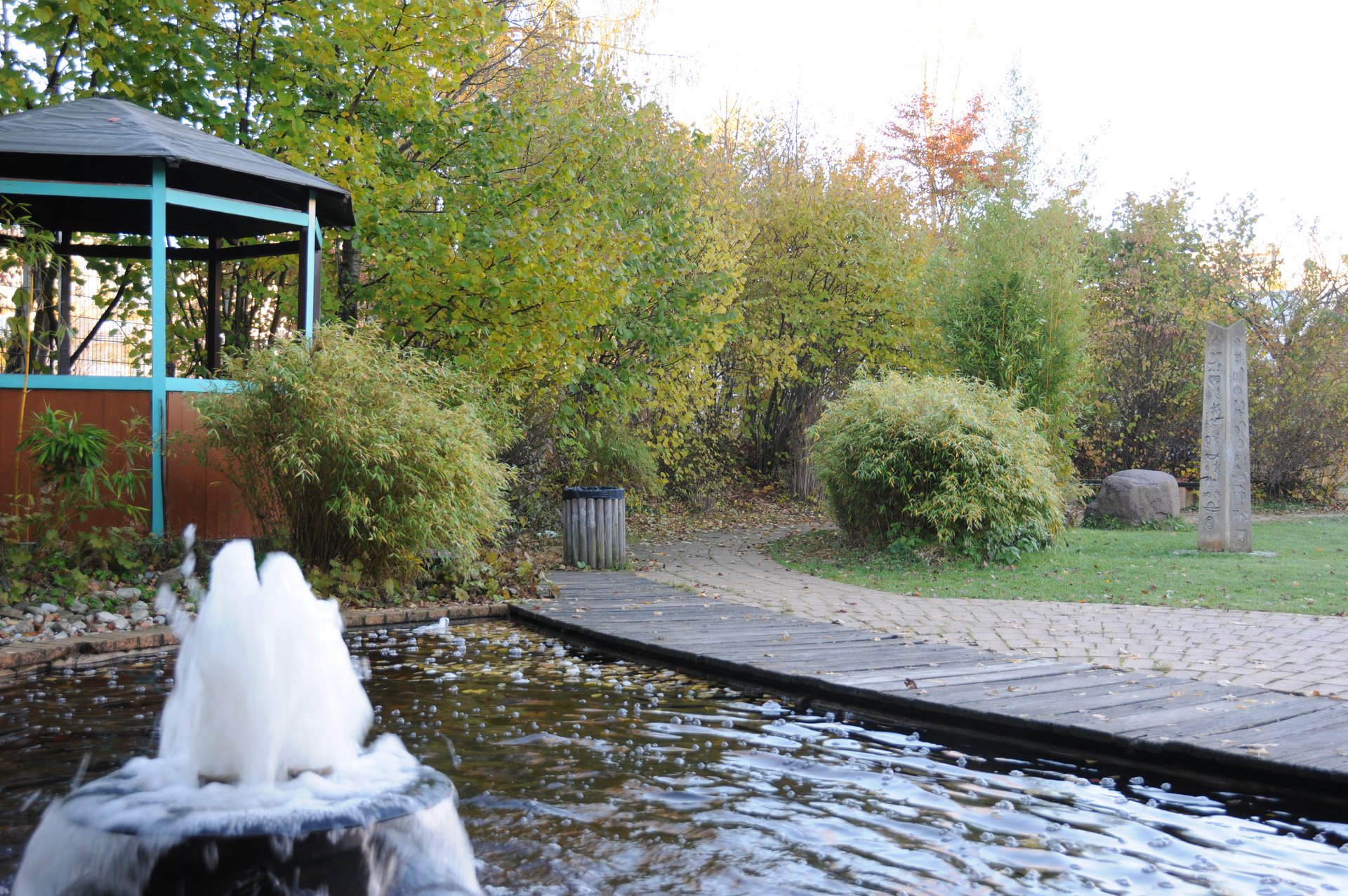 Teich im Pausenhof