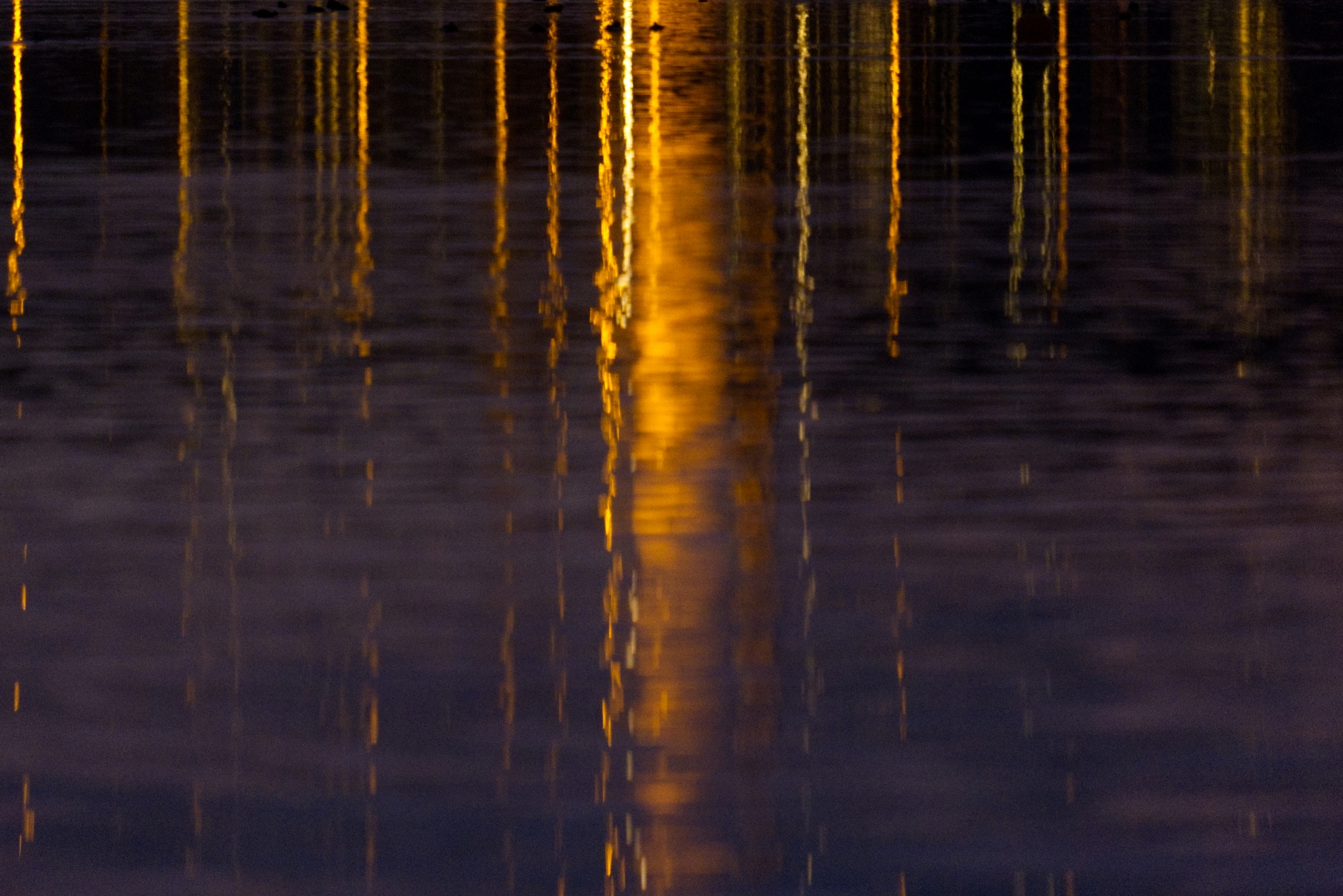 Foto Michael Raabe